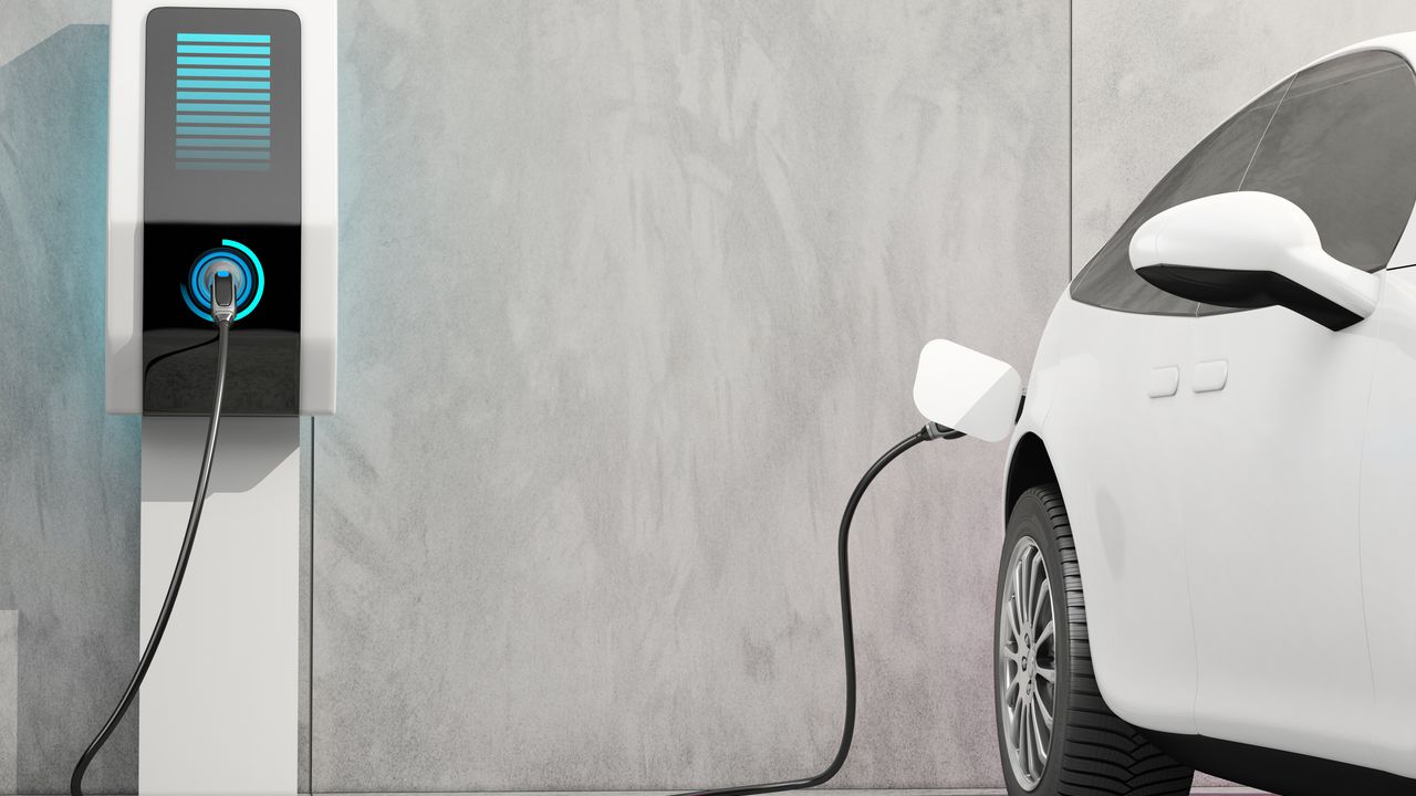 "Maximizing EV Charging Platforms with Predictive Analytics and Data Privacy"